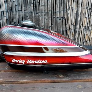 coyote_art_madrid-20230415-0014