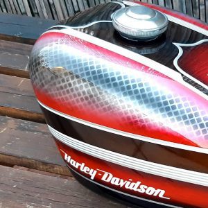 coyote_art_madrid-20230415-0015