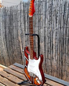 coyote_art_madrid-20230510-0484