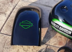 coyote_art_madrid-20230510-0701