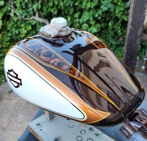 coyote_art_madrid-20230510-0911