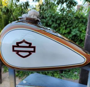 coyote_art_madrid-20230510-0912