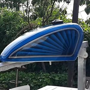 coyote_art_madrid-20230510-1112