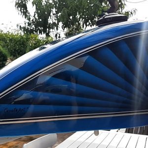 coyote_art_madrid-20230510-1115