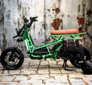 72_cycles_performance_CBoNhBph__z_1