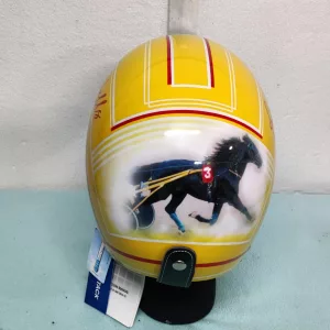 IMG_20221103_204859_996