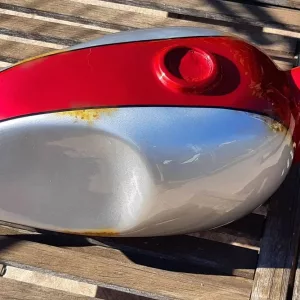 coyote_art_madrid-20230510-0001.jpg (32)