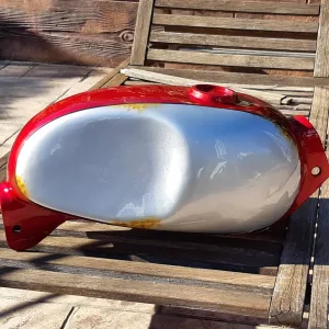 coyote_art_madrid-20230510-0835