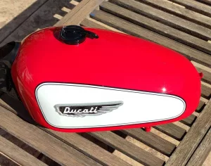 coyote_art_madrid-20230510-0962