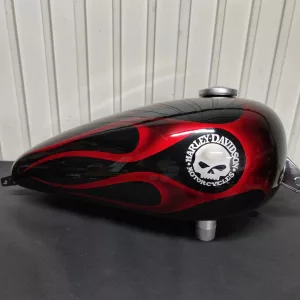 coyote_art_madrid-20230510-0985