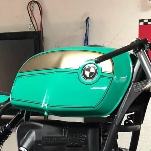 coyote_pintura_aerografia_CGZujXRBaqN_3