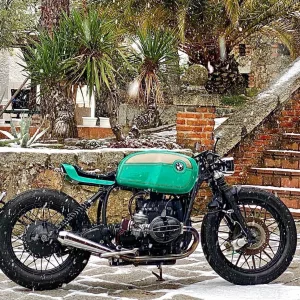 coyote_pintura_aerografia_CJ7GR-HhFGO_1