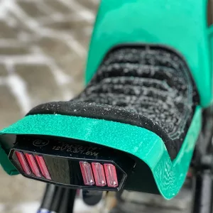 coyote_pintura_aerografia_CJ7GR-HhFGO_3